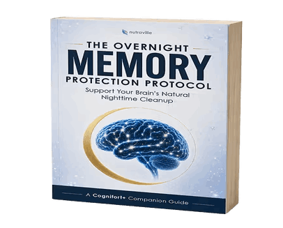 Bonus 3: The Overnight Memory Protection Protocol